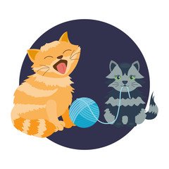 Cat breed cute kitten pet portrait fluffy young adorable cartoon animal and pretty fun play feline sitting mammal domestic kitty vector illustration.