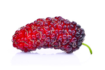 fresh mulberry isolated on white background