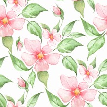 Spring Flowers. Hand Drawn Watercolor Floral Seamless Pattern