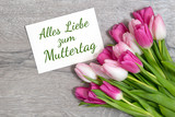 Fototapeta Panele - Tulpen zum Muttertag