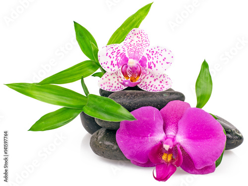 Foto-Fahne - Wellness: Orchids, stones and bamboo :) (von doris oberfrank-list)