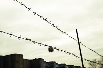 Barbed wire in the protected area