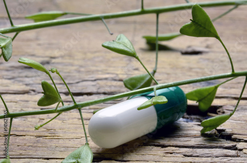 Fotografía  Capsella bursa-pastoris Shepherd's purse Borsa di pastore Bolsa de pastor Borsa