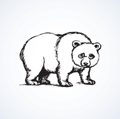 Poster - Panda. Vector drawing