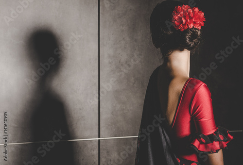 young hispanic flamenco dancer  while dancing Wallpaper Mural