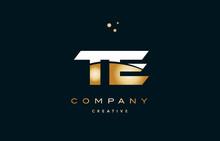 Te T E  White Yellow Gold Golden Luxury Alphabet Letter Logo Icon Template