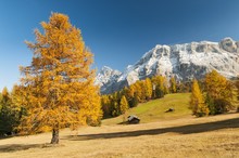 Alpine Meadows With Barns In Autumn, Dolomites, Italy