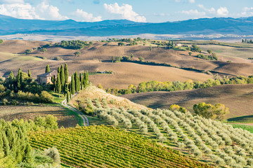 Wall Mural - panorama of Siena in the Val d'Orcia and the Chianti hills