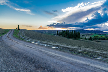 Wall Mural - panorama of Siena in the Val d'Orcia and the Chianti hills