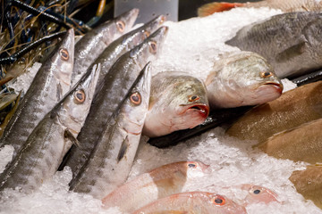 fresh fishes in ice tray