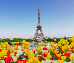 Eiffel Tower and Paris skyline in spring sunny day with tulips, France