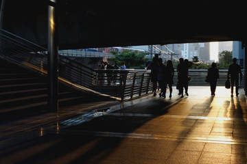 Canvas Print - Backlight is a technique of imaging.