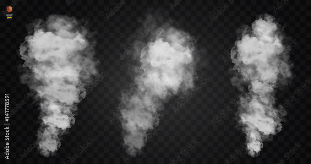 Fog or smoke isolated transparent special effect. White vector cloudiness, mist smog background. illustration - obrazy, fototapety, plakaty 