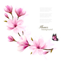 Nature Background With Blossom Branch Of Pink Magnolia And Butterfly. Vector