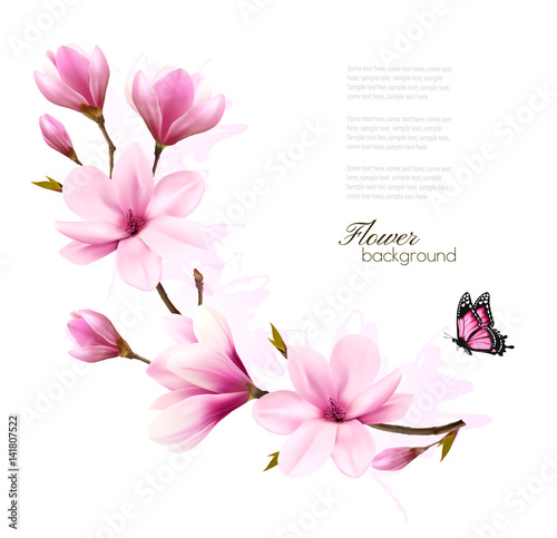 Fotomural Nature background with blossom branch of pink magnolia and butterfly