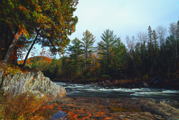 Landscape with mountains trees and a river in front. Mountain river in fall forest with red yellow leafs and rocky shore.River in Quebec. Mountain river in autumn time. Stone iver, Riverside rocks