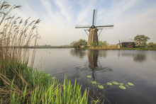 Green Grass Frames The Windmills Reflected In The Canal Kinderdijk Rotterdam South Holland Netherlands Europe