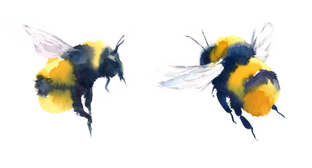watercolor bumblebees in flight hand painted summer illustration set isolated on white background