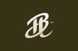 Letter B and H Monogram Logo Design Vector