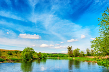 Wall Mural - view to river banks with green trees
