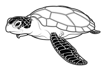 Wall Mural - Sea turtle animal cartoon on white background.