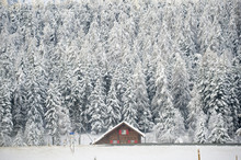Lonely House In Winter. Celerina, Engadine, Switzerland