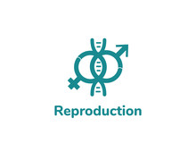 Reproductuion Logo Design. Reproduction Medicine Vector