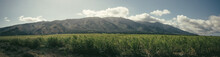 Panoramic View Of Field Against Mountains