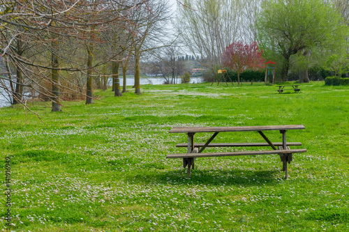 Fotografie, Obraz Prato fiorito con tavolo da picnic in riva al lago di Bolsena.
