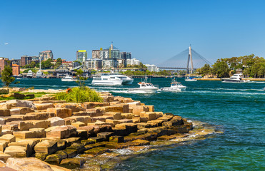 Wall Mural - Yachts in Sydney Harbour as seen from Barangaroo Reserve Park