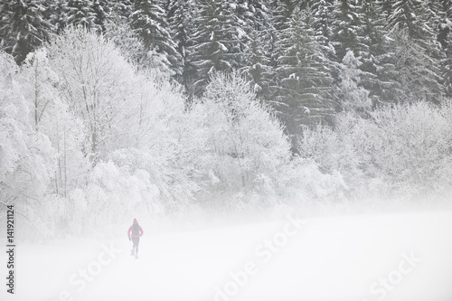 A Person Running Through A Misty Snow Covered Winter Forest Buy This Stock Photo And Explore Similar Images At Adobe Stock Adobe Stock