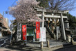 © setsuna - 愛媛県八幡浜市　八幡神社の鳥居と桜
