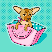 Chihuahua Dog In Pink Woman Handbag Vector