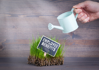 Employee Benefits concept. Fresh and green grass on wood background.