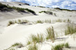 Dead Sand Dunes with Grass