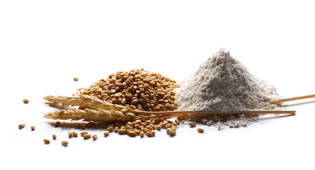  flour and wheat ears, with grain isolated on white background