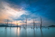 Death Trees In The Lake With Silhouette Sky