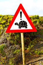  In South Africa Close Up Of The Turtle  Sign