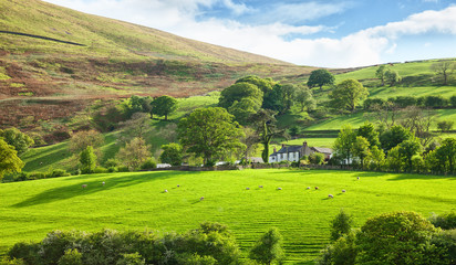  Beautiful spring landscape in Lake District National Park, Cumbria, England, UK.