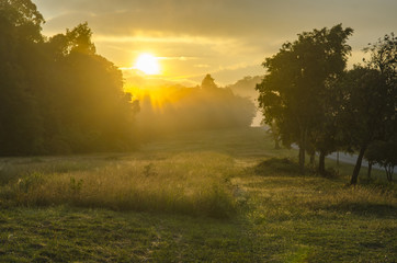 Wall Mural - khao yai national park with sunrise
