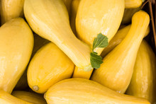 Yellow Squash Vegetables For Sale At Farmers Market