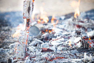 burning wood in outdoor.