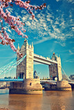 Fototapeta Londyn - Tower bridge at spring, London