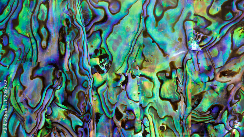 close up shot the iridescent of abalone shell texture background in HD ...