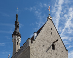 Wall Mural - Roof of Tallinn's Town Hall