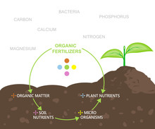 Diagram Of Nutrients In Organic Fertilizers