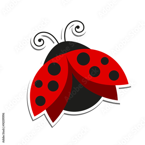 Vector Illustration of a Ladybug Poster Mural XXL