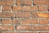 Fototapeta  - Brick wall texture
