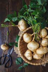 Wall Mural - Yam Beans on the old wood