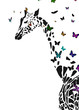 Vector silhouette of  giraffe with butterflies flying around.